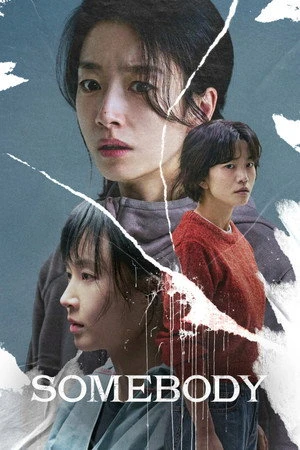 Somebody 2025 Hindi - Korean Dual Audio WEB-DL | Hindi Dubbed Movie